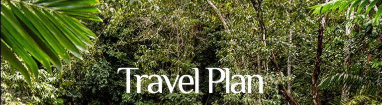 Easy Travel Guides & Itineraries to Plan Your Next Trip Stress Free